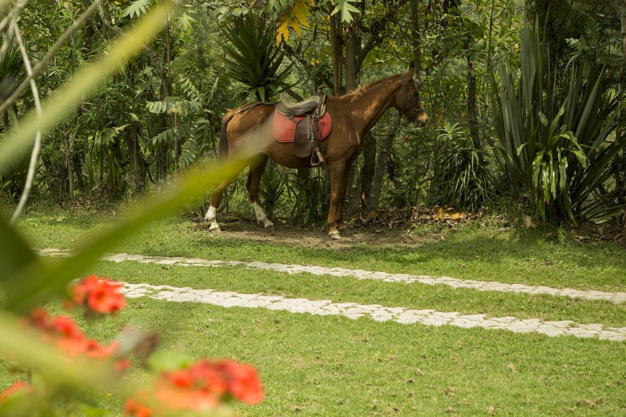 Estancia De La Campina Nono Eksteriør bilde